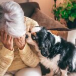 犬を飼って病んでしまう『育犬ノイローゼ』ってなに？表れる5つの症状から改善方法までご紹介(ブログ)