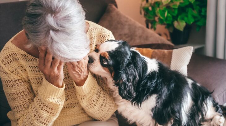犬を飼って病んでしまう『育犬ノイローゼ』ってなに？表れる5つの症状から改善方法までご紹介(ブログ)