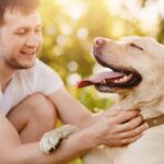 愛犬が飼い主に伝えたい『ありがとうの気持ち』4選　感謝の気持ちを表す仕草や行動とは？(ブログ)
