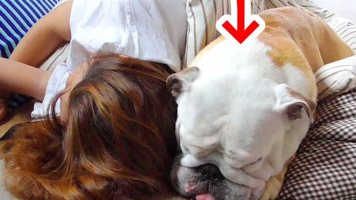 お母さんを起こそうとした犬→なかなか起きなかった結果…まさかの『眠気に襲われてしまう光景』が43万再生「2度寝ｗｗ」「ほんと人間みたい」(ブログ)