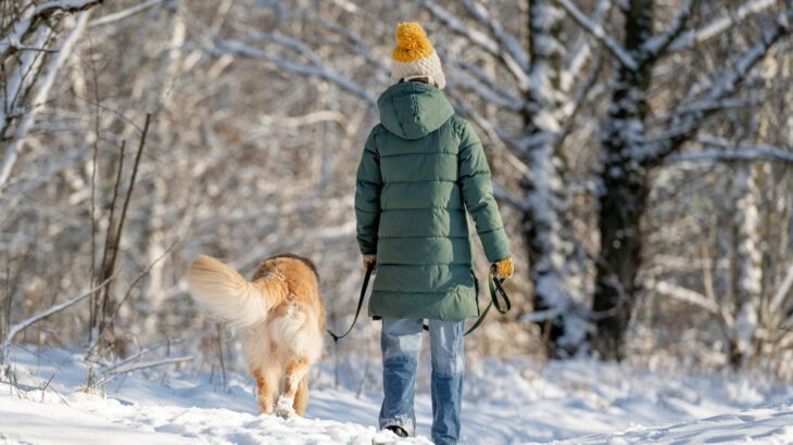冬の犬の散歩ですべき防寒対策３つ　 寒さが苦手な犬種もいる？工夫できるポイントをご紹介(ブログ)
