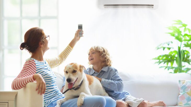 犬を留守番させるときの『適切な温度』とは？愛犬にとって暖房は何度が快適？(ブログ)