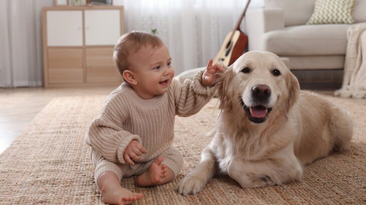 犬は『人間の赤ちゃん』にどんな感情を抱く？　愛犬のことがより愛おしくなる心理とは(ブログ)
