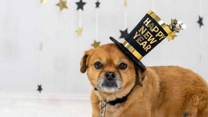 愛犬とお正月を祝うための方法5つ　犬が食べられる料理から楽しく過ごすための秘訣まで(ブログ)