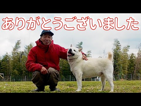 良いお年をお迎えください(YouTube)