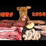 閲覧注意⚠️アヒルや鹿の骨をボキボキ食べる咀嚼音がクセになる(YouTube)