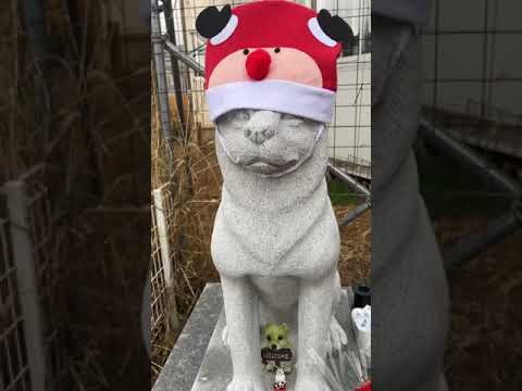 お花ありがとうございます(YouTube)