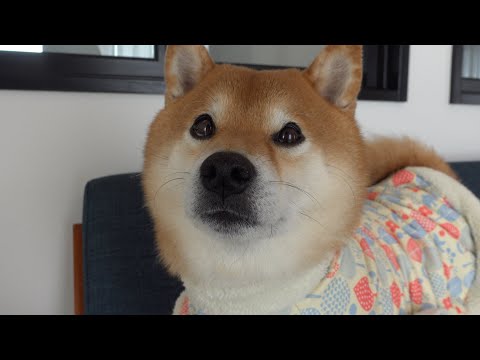 【アクシデント】昨日動画をお休みした経緯がこちら。(YouTube)