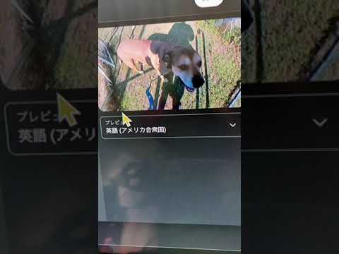 凄いとしか言いようがない！(YouTube)