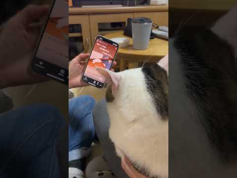 「昔のオレ」見るの嫌になる(YouTube)