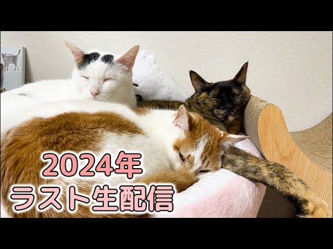 12/29 2024年最後の生配信！(YouTube)