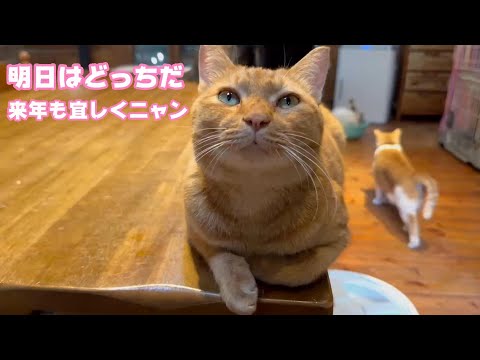 明日はどっちだ？ 来年も宜しくお願い致します  2024 12 31 2(YouTube)