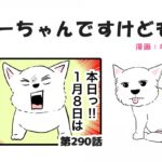 ちーちゃんですけどもっ【第290話】「16歳になりましたけどもっ！！」(ブログ)