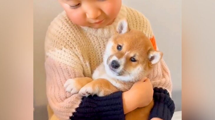 小さな男の子に抱かれていた『生後２ヶ月の子犬』が、１年後…想像の上をいく『現在の姿』が40万再生「本物の兄弟みたい」「最高に可愛い」(ブログ)