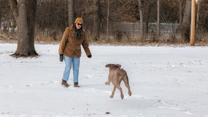 犬のしつけで『呼び戻し』が大切な理由3つ　防ぐことができるトラブルから習得するためのコツまで(ブログ)