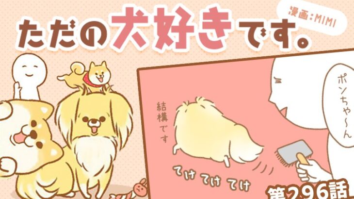 ただの犬好きです。【第296話】「何が違うの？」(ブログ)