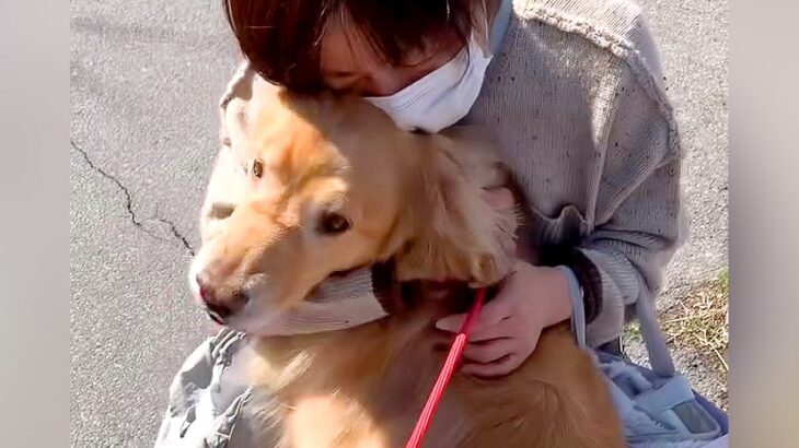 母が急遽手術→退院後、1週間ぶりに犬と会ったら…涙腺崩壊する『再会の瞬間』が106万再生「強い絆を感じる」「相思相愛すぎて泣いた」と絶賛(ブログ)