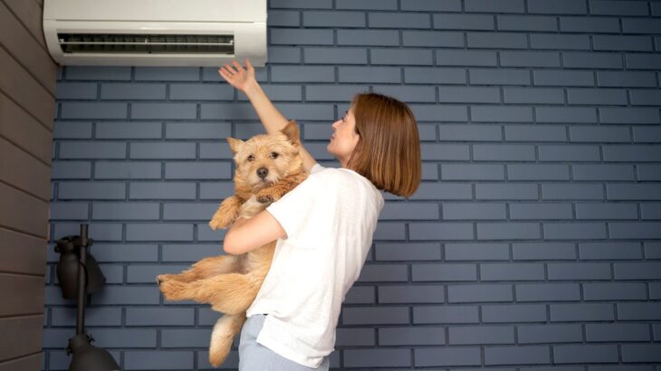 犬は冬でも『熱中症』になるの？危険な症状や注意すべき暖房機器の使い方まで(ブログ)