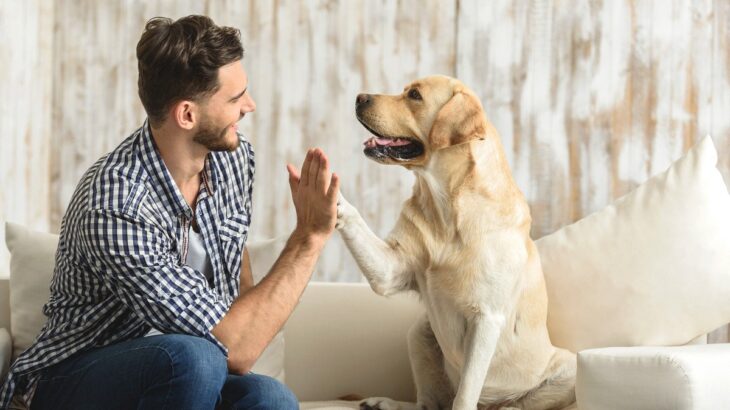 犬の飼い主に向いているかどうかを『判断する方法』とは？4つのチェック項目と重要な心構えまで(ブログ)