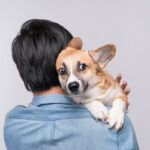 犬にベタベタしすぎるのはよくない？NGとされる4つの理由から適切な距離感まで(ブログ)