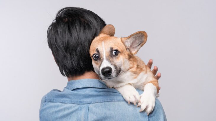 犬にベタベタしすぎるのはよくない？NGとされる4つの理由から適切な距離感まで(ブログ)