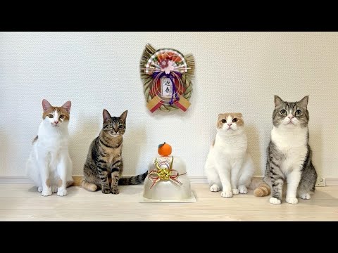 2025年の活動について大切なご報告があります。(YouTube)