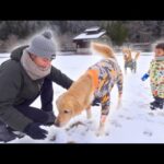 積雪2センチで大はしゃぎする兄弟が可愛すぎるww(YouTube)