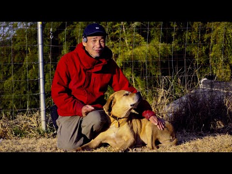 ケンくんの脚の様子(YouTube)
