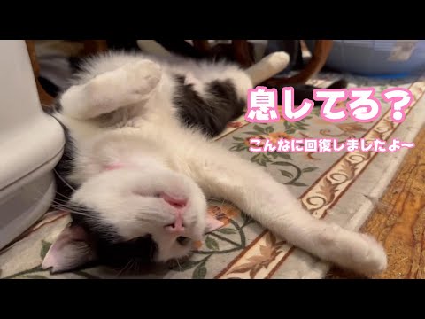 息してる？ッって思うくらいリラックスできるまで回復しました  2025 01 06 1(YouTube)