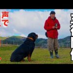 【深刻な問題】改善トレーニング開始！ NO!を伝える(YouTube)