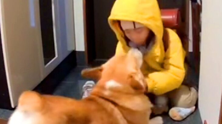 姉と母の帰宅時、犬のお出迎えを隠し撮りした結果…カメラがとらえた『態度が違いすぎる光景』が8万再生「大あくびしてて草」「忖度なし」と爆笑(ブログ)