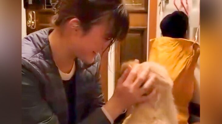 次女に内緒で『赤ちゃん犬お迎えサプライズ』した結果…100点満点な『最高のリアクション』が6万再生「ふたりとも可愛い」「幸せになれそう」(ブログ)