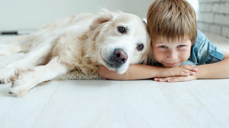 犬が真似しがちな『飼い主の行動』6つ　原因はあなたにあるのかも？やめさせたほうがいい注意点まで(ブログ)