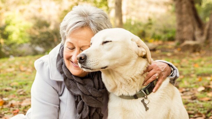 飼い主が高齢でも犬を飼えるの？起こりうるトラブルや注意すべき点をご紹介(ブログ)