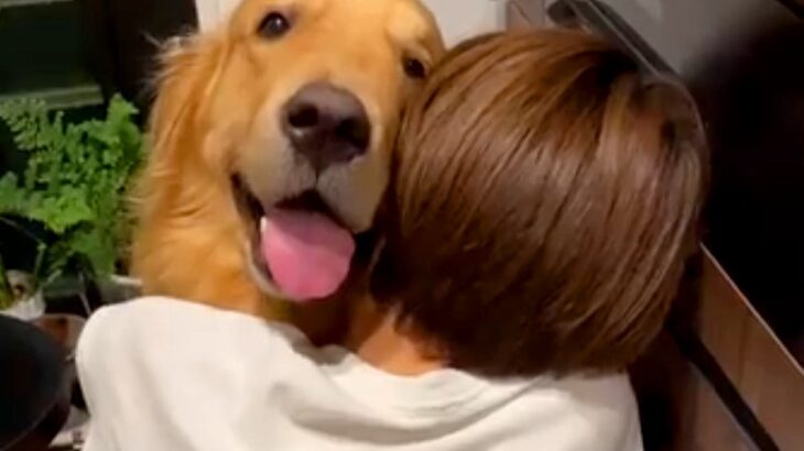 大型犬を愛しすぎている娘が、台所で抱きつきまくり…まさかの『母に助けを求める光景』が162万再生「困り顔で可愛いｗ」「気持ちはわかる」(ブログ)