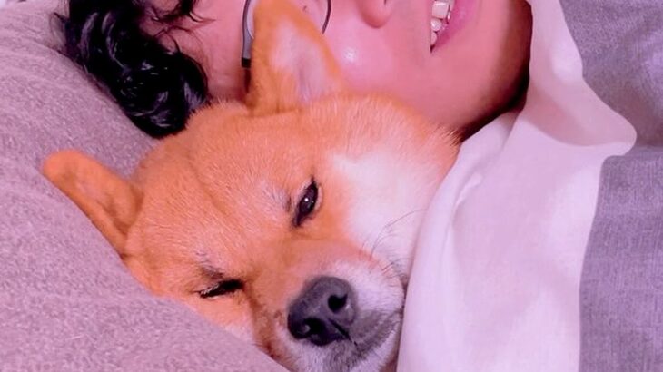 朝、犬とベッドで『不倫ごっこ』をしてみたら…まるでコントのような『まさかの対応』が284万再生「仏頂面で草」「悪い男の顔ｗ」と爆笑の声(ブログ)