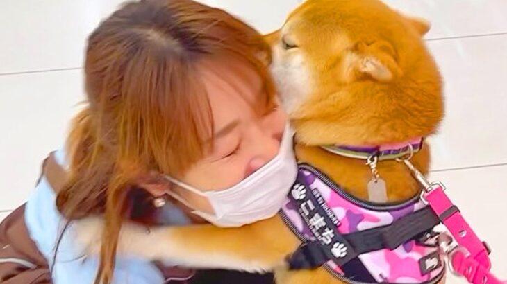 『育ての親』と再会した犬→見つけた瞬間に…思った数倍『大喜びする光景』が泣けると15万再生「覚えてるんだ…感動した」「表情可愛い」と絶賛(ブログ)