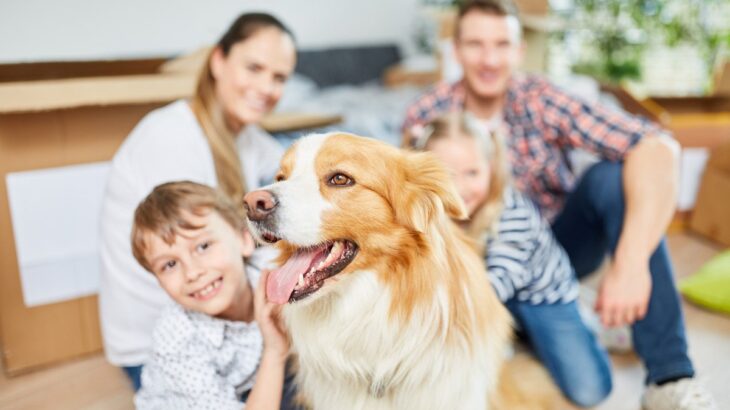 『家族想いな犬』がみせがちな行動5つ　愛犬と深い絆で結ばれるための方法とは(ブログ)