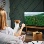 犬が『テレビに夢中』なときの心理３つ　見ている時の愛犬の気持ちや興味を持つ理由について解説(ブログ)