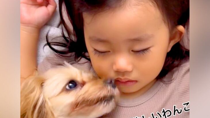 女の子がお昼寝中、犬が添い寝していたら…『どうしても起きてほしい行動』が可愛すぎると81万再生「気持ちはわかるけどｗ」「癒された」と反響(ブログ)