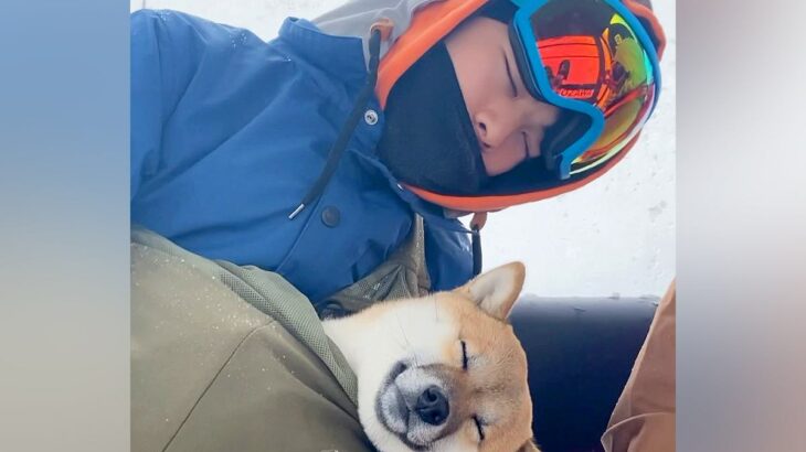 男の子がスキー場で『犬と一緒にゴンドラに乗った』結果…まさかの『仲良しすぎる眠り姿』が344万再生「可愛すぎる」「顔もそっくりｗ」と悶絶(ブログ)