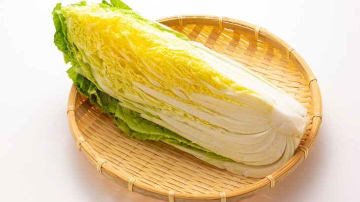 犬に『白菜』を食べさせても問題ない？愛犬に与えるメリットや適切な量、注意点まで解説(ブログ)