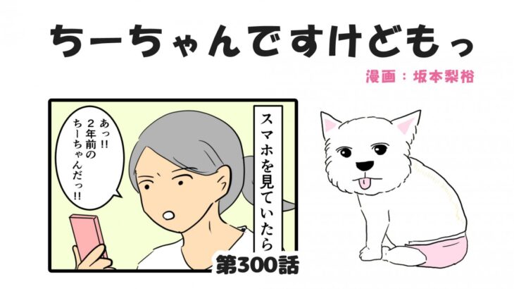 ちーちゃんですけどもっ【第300話】「今ある幸せ」(ブログ)