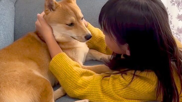 『噛み癖がひどかった犬』が女の子にちょっかいを掛けられた結果…嘘のような『現在の姿』が1万再生「素敵」「優しいね」と絶賛(ブログ)