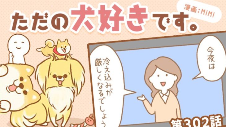 ただの犬好きです。【第302話】「良いなと思ったこと」(ブログ)