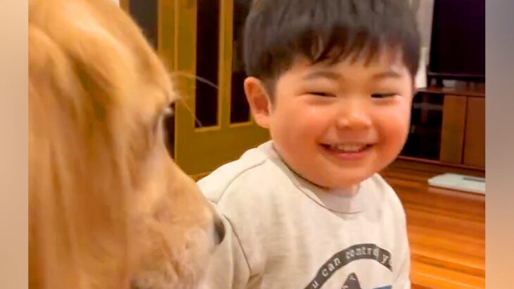 男の子が『大型犬と遊んでる』と思ったら→ケンカが始まり…思った以上に『カオスな光景』が和むと16万再生「大盛り上がりで草」「楽しいねｗ」(ブログ)
