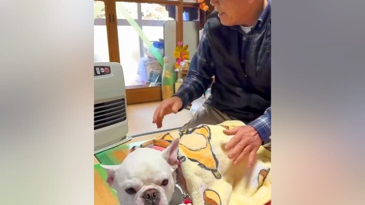おじいちゃんとおばあちゃんが、体調を崩した犬に…素敵すぎる『過保護な光景』が微笑ましいと35万再生「かわいくてたまらん」「愛感じる」(ブログ)