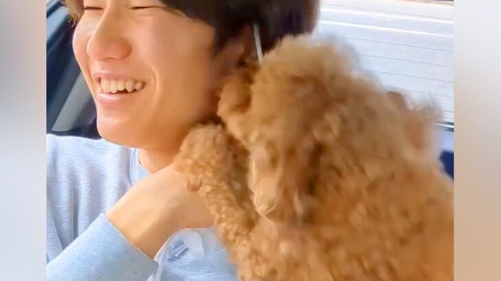 退院してきたお兄ちゃんと犬が再会…思った以上に『喜びを大爆発させる光景』が3万再生「大喜びしてる姿が泣ける」「素敵な家族」と感動の声(ブログ)