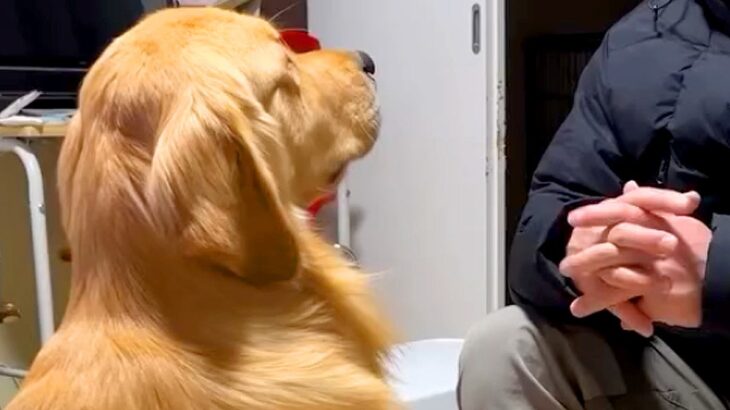 父が仕事から帰ると、大型犬が…絶対に断れない『おねだり攻撃』が4万再生　絶対に断れないお散歩の催促に思わず悶絶(ブログ)