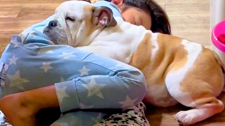 女の子がストーブの前で寝落ちしてしまったら、犬が…まさかの『絶対に離れまいと寄り添う光景』が87万再生「幸せな光景」「素敵すぎる」と称賛(ブログ)
